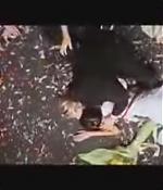 ElvisAndAnnabelle-Trailer-023.jpg
