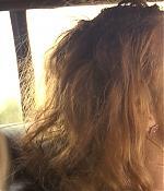 hick_blakelively_1376.jpg