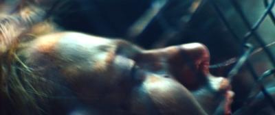 savages_blakelively_06066.jpg