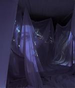 GG210_208.jpg