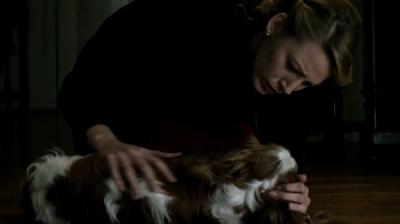 Click to view full size image
==============
blakelively-ageadaline-02823.jpg blakelively-ageadaline-02823.jpg