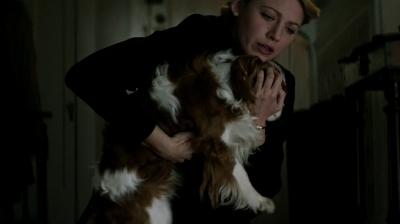 Click to view full size image
==============
blakelively-ageadaline-02827.jpg blakelively-ageadaline-02827.jpg