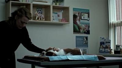 Click to view full size image
==============
blakelively-ageadaline-02895.jpg blakelively-ageadaline-02895.jpg